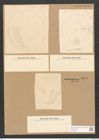 Cocconeis ambigua var. montereyi Grun. (de-Toni-Nr.: Genus 40, Species 1852) Zeichnungen Sammlung Grunow Nr. 3675 (NHMW-BOT-W0371293)